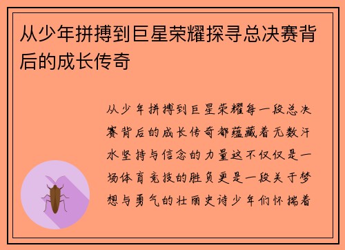 从少年拼搏到巨星荣耀探寻总决赛背后的成长传奇